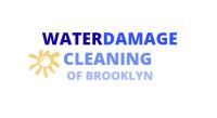 WATER DAMAGE CLEANING OF BROOKLYN image 5